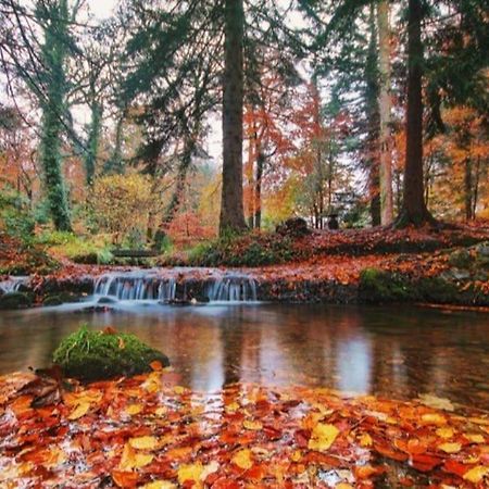 Lakeland Lodge Derrylin Экстерьер фото